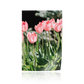 "Pretty in Pink" Floral Tulips Print